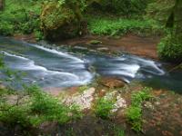 Flache Felsterrassen im Bachlauf - Gauchachschlucht